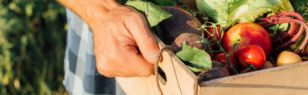 cropped view of farmer holding wooden box full of ripe vegetables, horizontal image