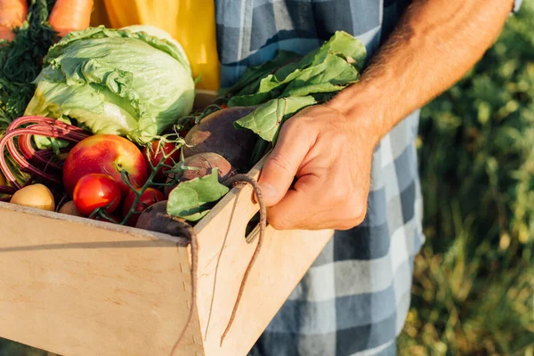 Vista Recortada Del Agricultor Sosteniendo Caja Madera Con Verduras Frescas —  Fotos de Stock