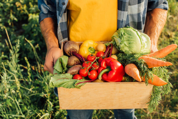 cropped view of farmer holding wooden box with fresh cherry tomatoes, bell peppers, cabbage, carrots and beet