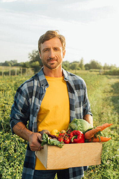 farmer in plaid shirt looking at camera while holding box with fresh, ripe vegetables