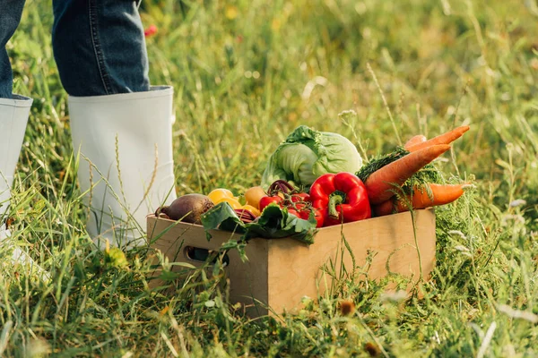 熟した野菜でいっぱいの箱の近くに立っているゴム製のブーツで農民のクロップドビュー — ストック写真
