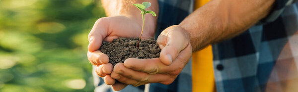 cropped view of farmer holding ground with young plant in cupped hands, website header