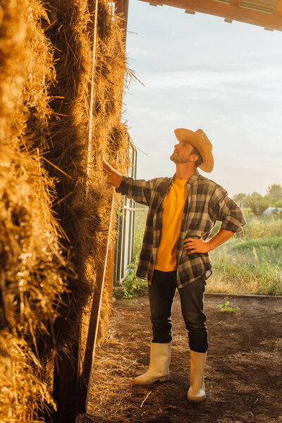 rancher in rubber boots, straw hat and plaid shirt touching stack of hay on farm