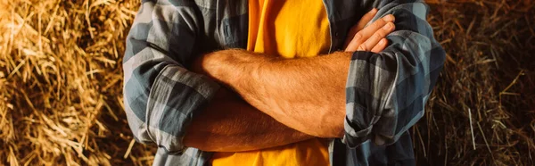 Cropped View Farmer Checkered Shirt Standing Crossed Arms Stack Hay — Stock Photo, Image