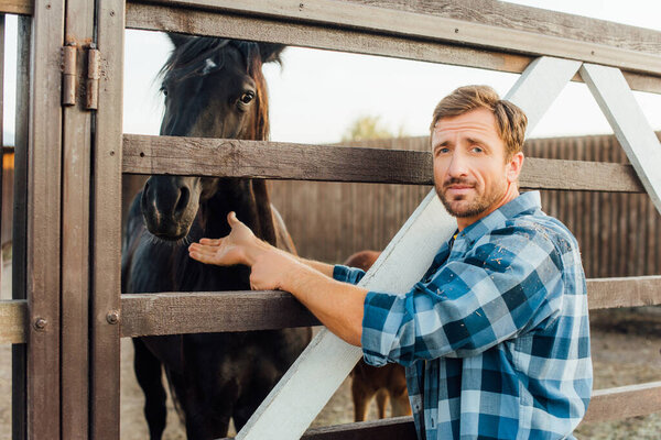 Ранчер в клетчатой рубашке трогает коричневую лошадь в загоне, глядя в камеру.