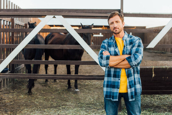 фермер в клетчатой рубашке смотрит в камеру, стоя со скрещенными руками возле загона с лошадьми