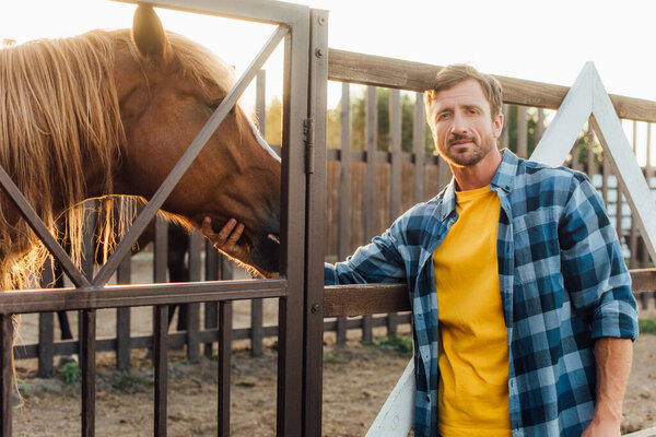 farmer in plaid shirt looking at camera while touching head of brown horse in corral