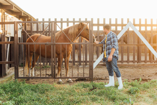 rancher in rubber boots and plaid shirt touching head of brown horse in corral
