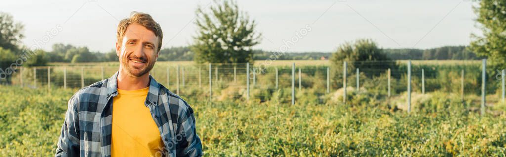 horizontal image of farmer in checkered shirt looking at camera while standing on plantation