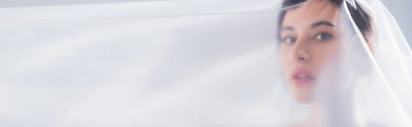 Панорамный Урожай Брюнетки Покрытой Полиэтиленом Смотрящей Камеру Экологическая Концепция — стоковое фото