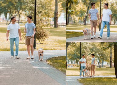 Baba-oğul kolajı Golden Retriever ile parkta yürüyor.