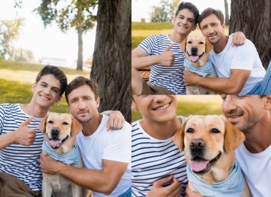 Baba ve golden retriever 'ın yanında boy gösteren genç çocuk kolajı. 