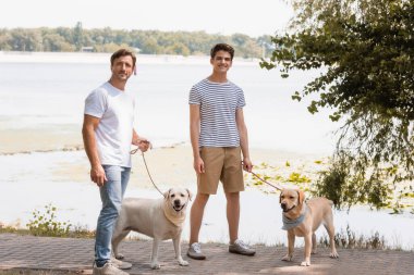 father and teenager son holding leashes and standing with golden retrievers near lake  clipart