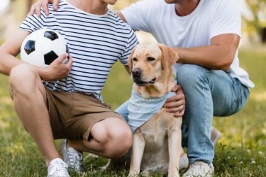 Babamın futbol ve golden retriever oynayan genç bir çocuğun yanında oturduğu görüntüler.