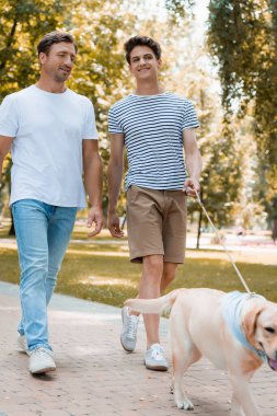 Golden Retriever 'la asfaltta yürüyen genç çocuk ve babanın seçici odağı. 