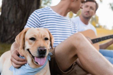 Golden Retriever 'ın seçici odak noktası genç bir çocuk ve parktaki akustik gitarlı bir adam. 