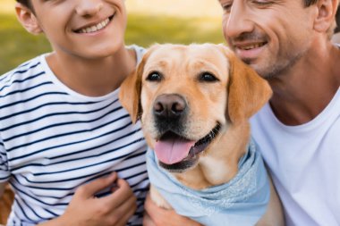 Golden Retriever, neşeli baba ve genç çocuğun yanında. 