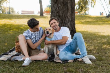 Neşeli baba ve genç çocuk parkta Golden Retriever ile battaniyede oturuyor.