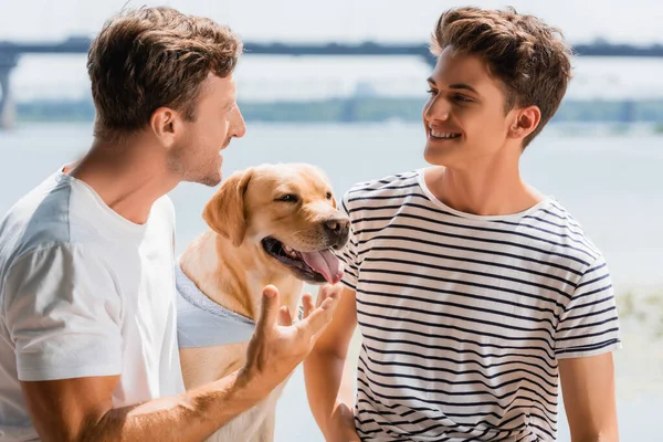 Padre Hijo Mirándose Uno Otro Cerca Golden Retriever — Foto de Stock