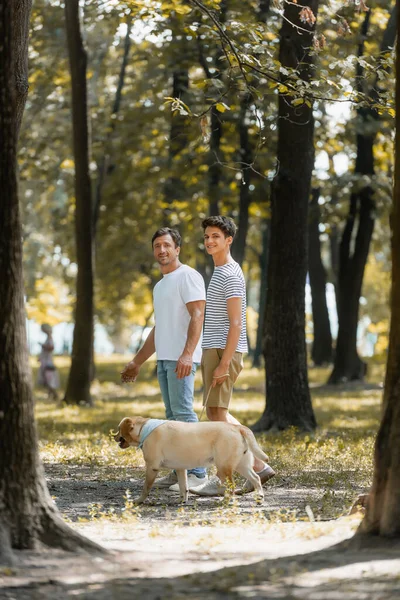 黄金のレトリバーと公園に立っている間にカメラを見ている父と10代の息子の選択的な焦点 — ストック写真