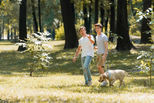 Mężczyzna Wskazując Ręką Pobliżu Nastolatek Syn Spacery Parku Golden Retriever — Zdjęcie stockowe