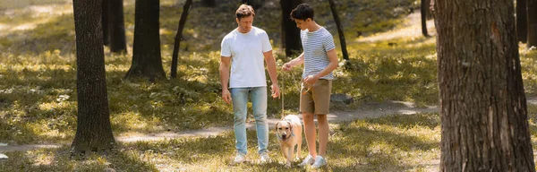 Horisontell Bild Far Och Tonåring Son Tittar Golden Retriever Parken — Stockfoto