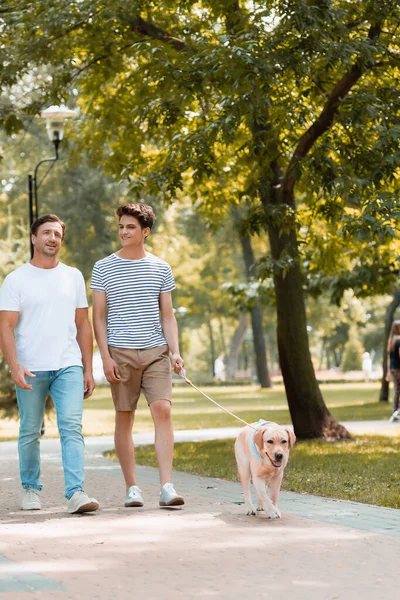 teenager son and father walking with golden retriever on asphalt