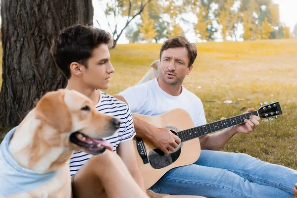 Selective Focus Father Playing Acoustic Guitar Teenager Son Golden Retriever — Stock Photo, Image