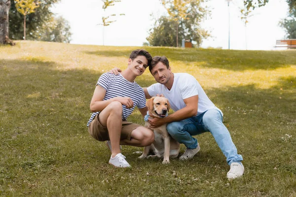 Padre Abrazando Adolescente Chico Cerca Golden Retriever Mientras Sentado Hierba — Foto de Stock