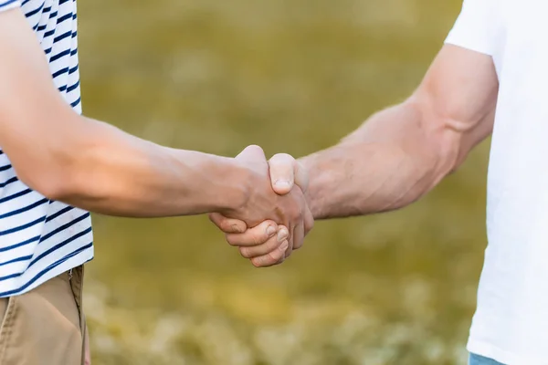 Cropped View Father Teenager Son Shaking Hands — Stock Photo, Image