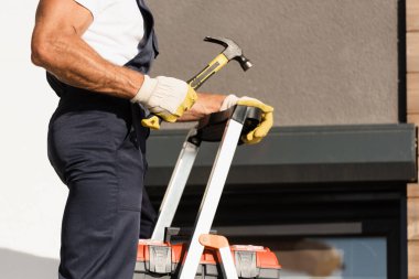 Cropped view of builder holding hammer while standing near toolbox on ladder and building   clipart