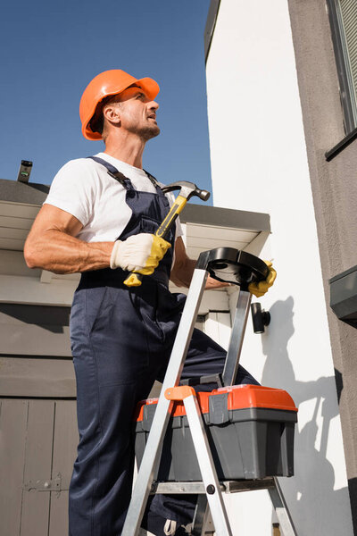 Handyman holding hammer near toolbox on ladder and facade of house 