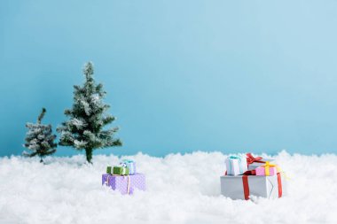 Noel ağaçlarının yakınındaki beyaz kar üzerinde sunuluyor mavi renkte izole edilmiş 