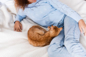 Ausgeschnittene Ansicht einer jungen Frau in Pullover und Jeans, die neben einer Ingwerkatze auf dem Bett liegt 