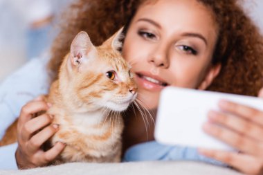 Kadının evde kedinin yanında akıllı telefondan selfie konuşması seçmeli bir odak noktası. 