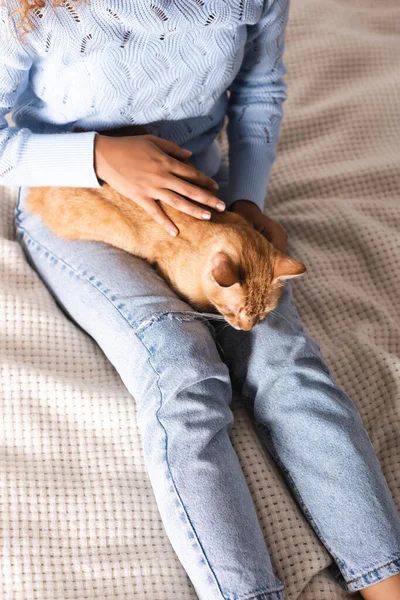 Pandangan Sudut Tinggi Dari Wanita Membelai Kucing Jahe Tempat Tidur — Stok Foto