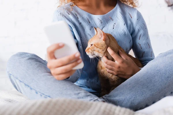 Akıllı telefon kullanan ve yatakta kedi besleyen kadınların seçici odak noktası. 