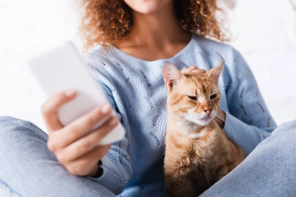 Vista Recortada Mujer Acariciando Gato Tabby Mientras Usa Teléfono Inteligente —  Fotos de Stock
