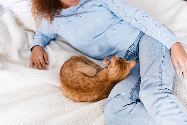 Vue Recadrée Jeune Femme Pull Jeans Couché Près Gingembre Chat — Photo