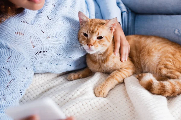 Foco Seletivo Mulher Usando Smartphone Tocando Gato Tabby Cama — Fotografia de Stock