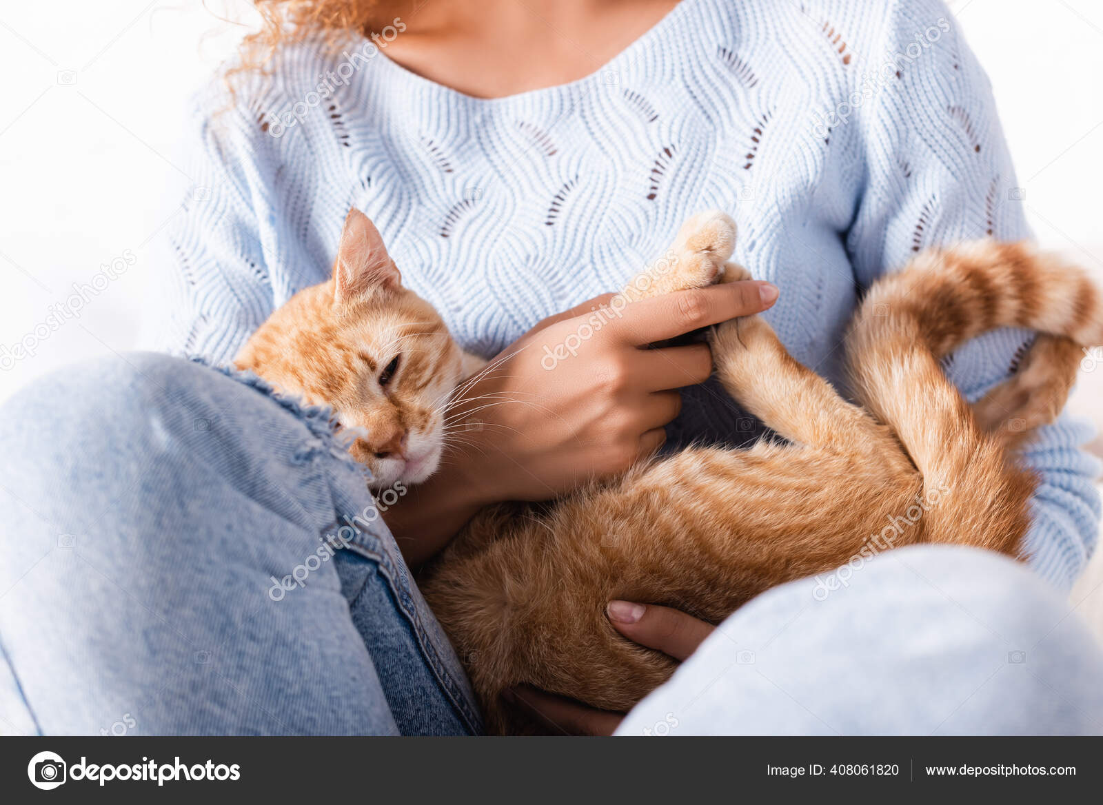 穿着牛仔裤和毛衣牵着生姜猫的女人的剪影 图库照片 C Andrewlozovyi