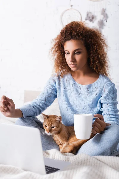 在床上抱着杯子靠近猫和笔记本电脑的女性的选择性焦点 — 图库照片