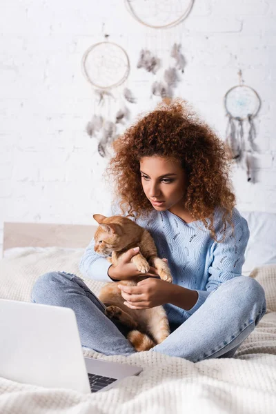 Selective Focus Red Haired Woman Holding Cat Laptop Bed — Stock Photo, Image