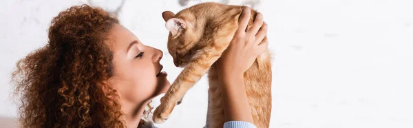 Horizontal Crop Curly Woman Holding Tabby Cat Home — Stock Photo, Image