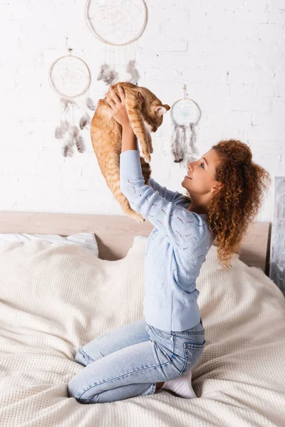 Side View Young Curly Woman Holding Ginger Cat While Sitting — Stock Photo, Image