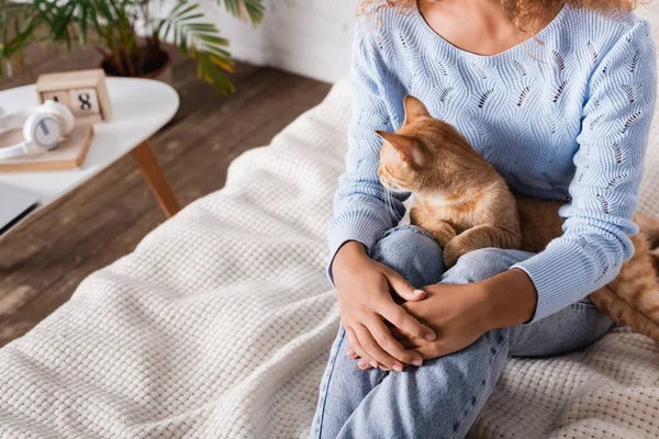 Pandangan Terpotong Wanita Duduk Tempat Tidur Dengan Kucing Tabby Rumah — Stok Foto