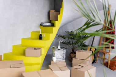 Karton kutuların ve şampanya şişelerinin seçici odağı sarı merdivenlerde bitkilerin yanında ve modern apartmanda akustik gitarın yanında. 