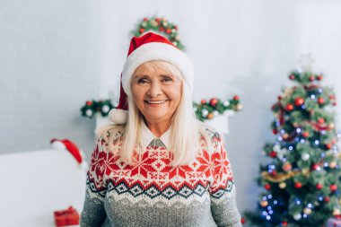 Noel Baba şapkalı gülümseyen son sınıf öğrencisi arka plandaki Noel ağacının yanındaki kameraya bakıyor.