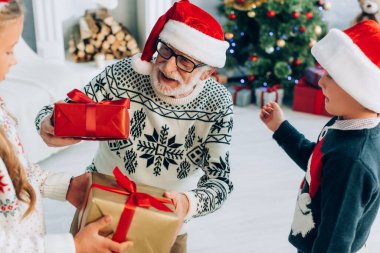Kız ve oğlan Noel Baba şapkalı mutlu büyükbabaya hediye kutuları sunuyorlar.