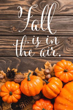 top view of autumnal decoration and pumpkins near fall is in the air lettering on wooden background clipart